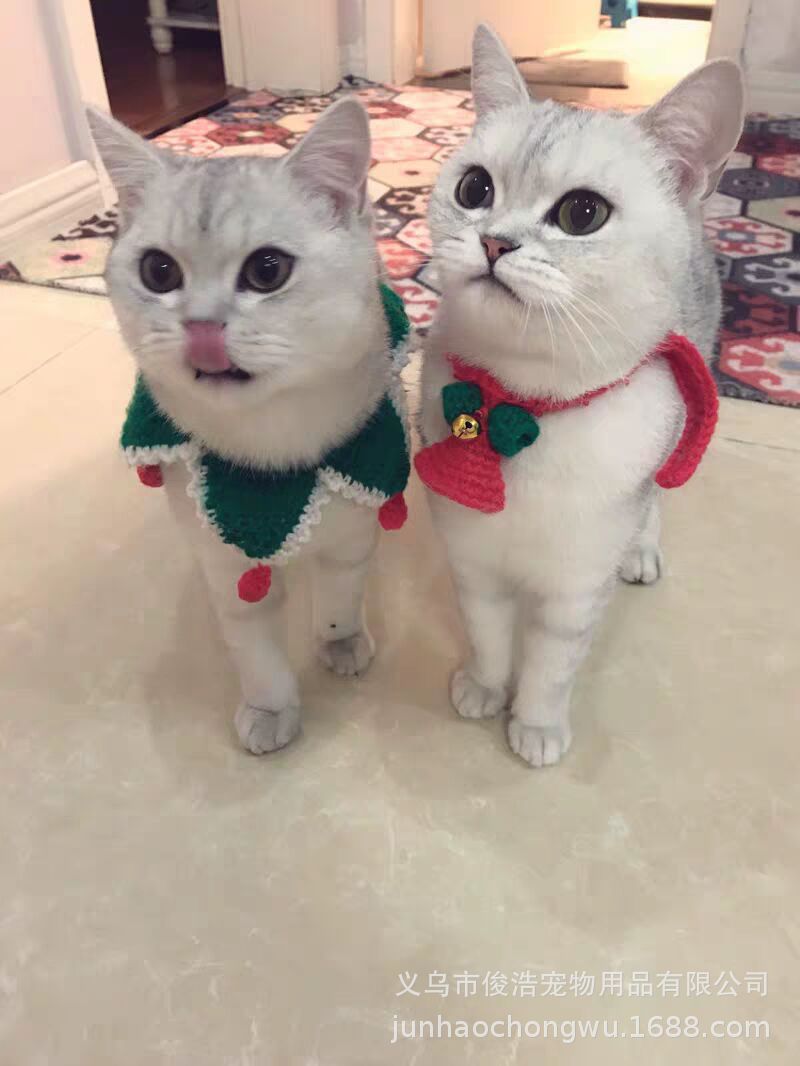 F896554B88388F162A31E3BAFA0907