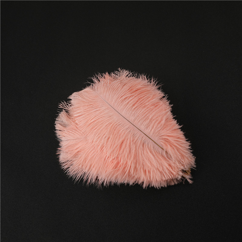 Capture One Catalog14602