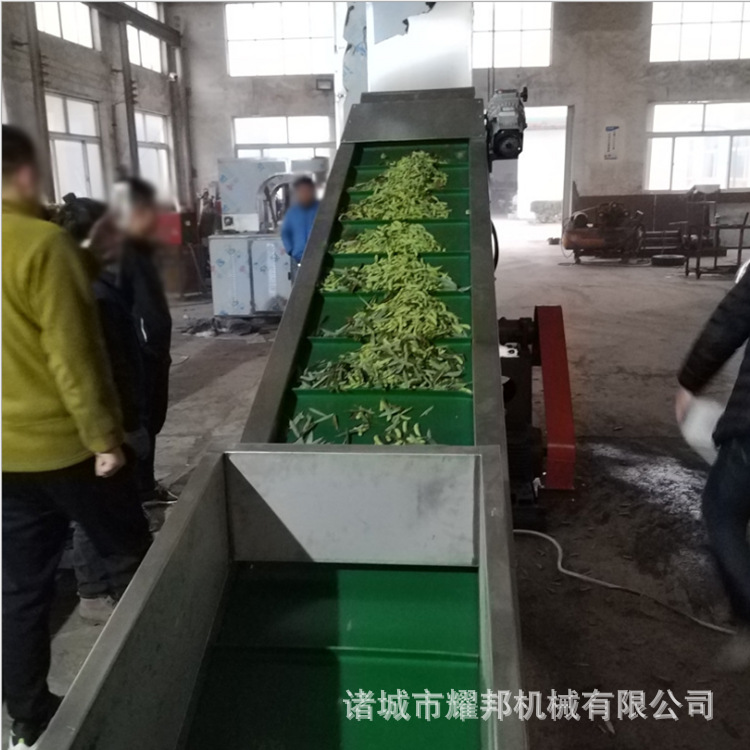 大型全自动毛豆风选机 枸杞风选机 中药材风选筛选设备