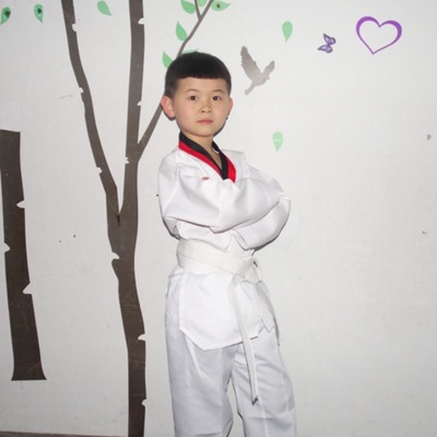 純棉跆拳道服廠家直銷成人兒童長袖短袖男女訓練服