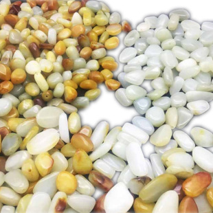 ������Ƥԭʯ��С���Ͼ�����������S��Ƥ��ʯɢ��������ˇƷ