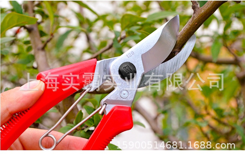 ARS爱丽斯花剪120DX园艺进口家用工具修剪粗树枝剪刀果树花剪园林
