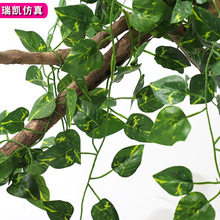 l~ٻٗlֲϼ٘~G~ˮܵb