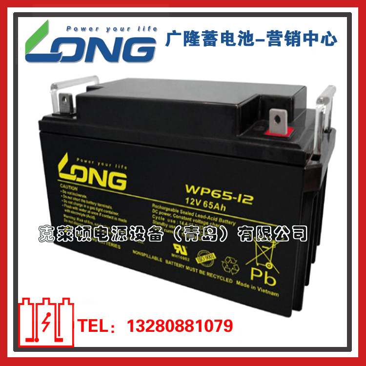 LONG广隆蓄电池WP65-12/12V65AH工业电源EPS电源蓄电池