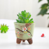 Horticultural Korean Multisani Mini Pot Zakka Ceramic Thumb Pot color hand -painted multi -meat basin