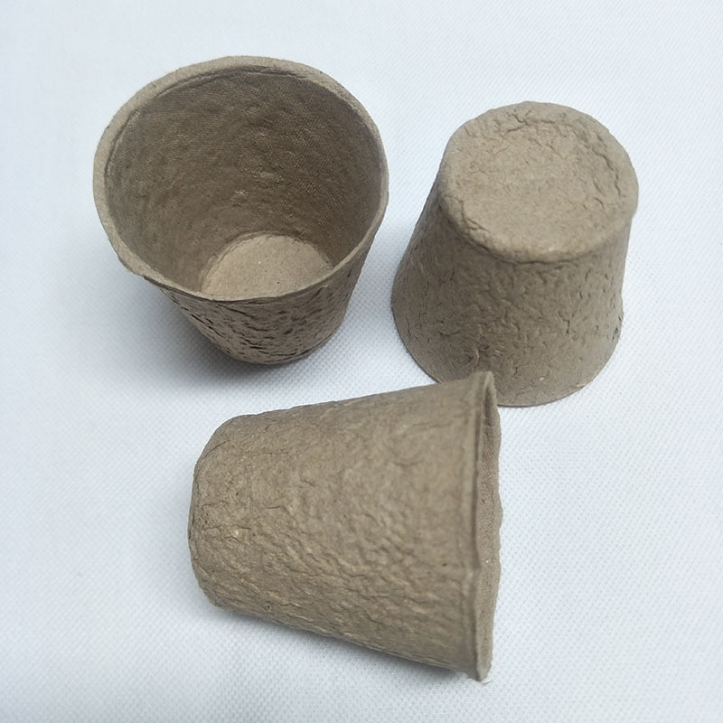 未标题-1_0003_QQ图片20190404170406