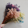 natural Dried flowers Bouquet of flowers Gypsophila violet Dried flowers indoor a living room Decoration flower arrangement Spend eternity Manufactor Direct selling