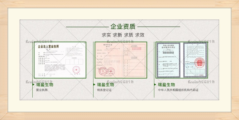 8250187029_1056379968