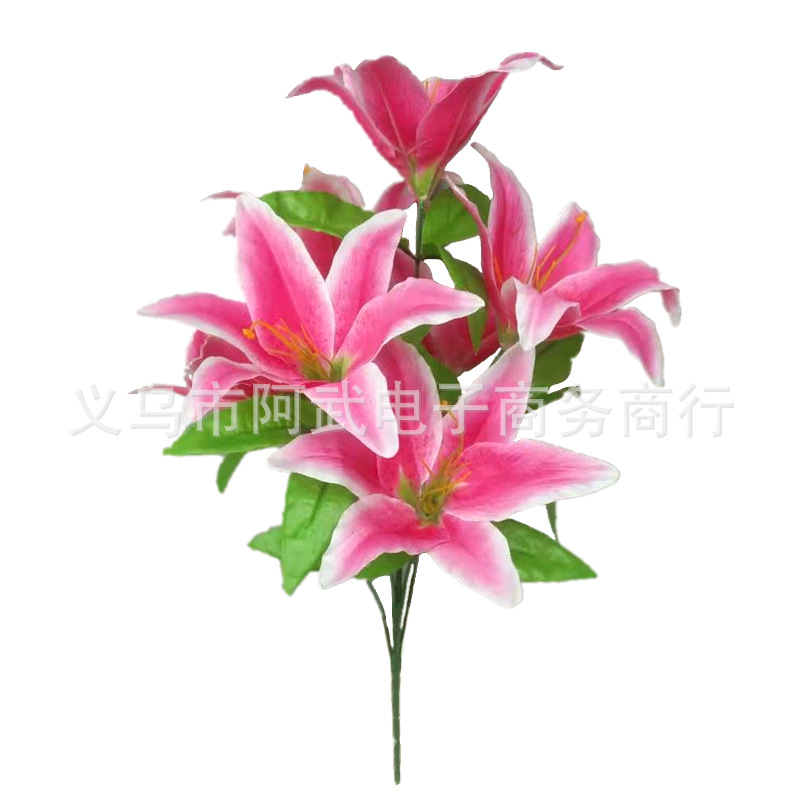 33af042a52c4553656b653dfb9cfc1