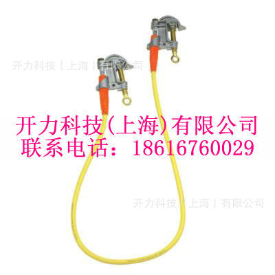 2319 单接地组件（美国 Salisbury）