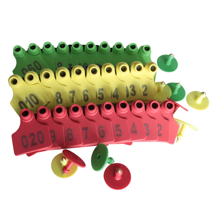 Etiqueta de oreja de cerdo láser con palabras tres colores Etiqueta de oreja de cerdo opcional con número de identificación TPU material Placa de número de oreja de cerdo inmune