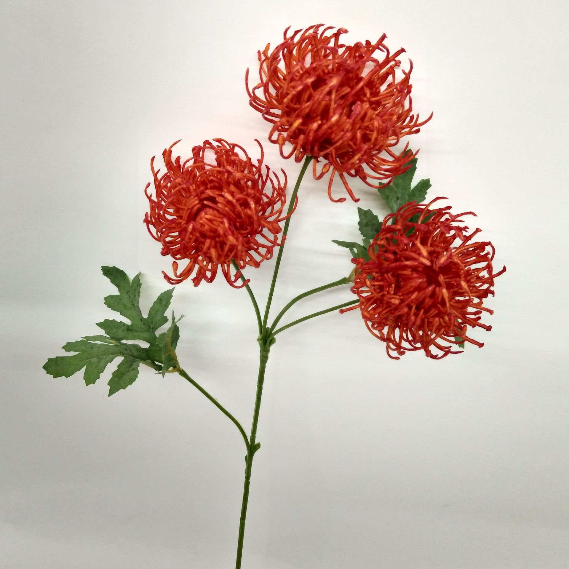 微信图片_2019060611471511