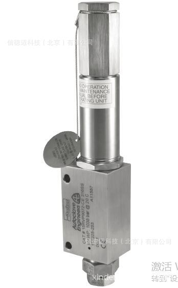 Autoclave Engineers  RVS系列 安全阀 10RVS9072-CE