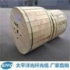 [Pacific fiber optic cable] GYFTZA-24B1 24 Core single-mode Nonmetallic Flame retardant optical cable Manufacturer