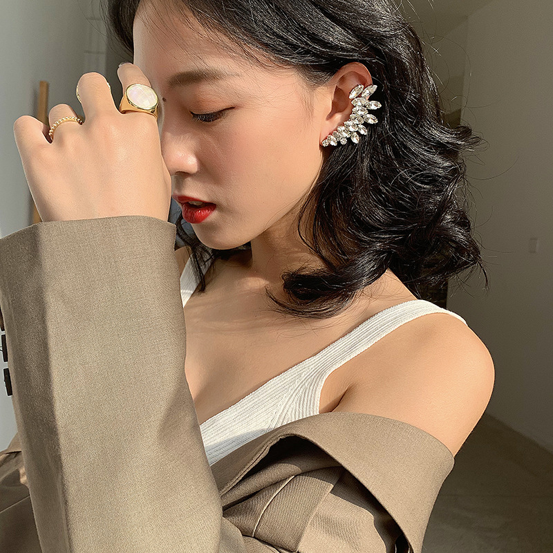 Europäische Und Amerikanische Übertriebene Blinkende Volle Diamant Flügel Ohr Knögel Ohrringe Integrierte Ohrringe Frauen 2019 Neue Koreanische Ohrringe display picture 9