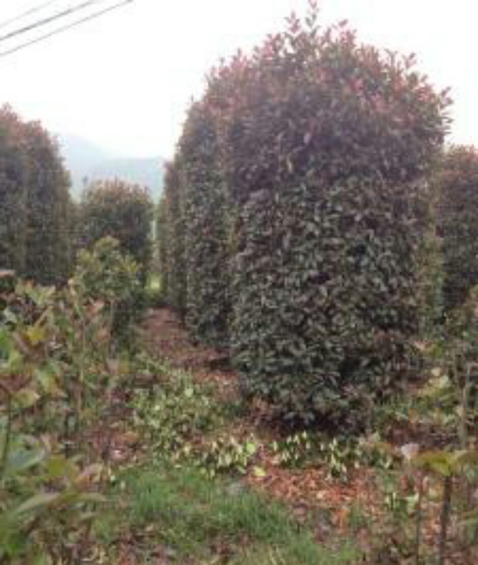 d1b7fa490cc440e550beaa3683095c