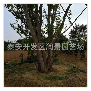 ���Ǘ�����r�� �������Ǘ��������l ���֧������Ǘ���