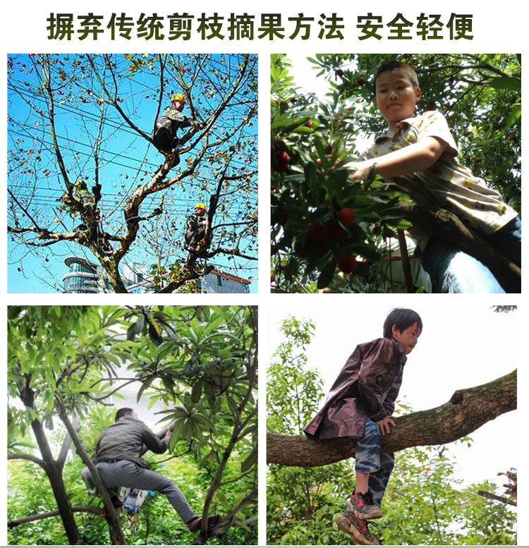 ��֦������_10