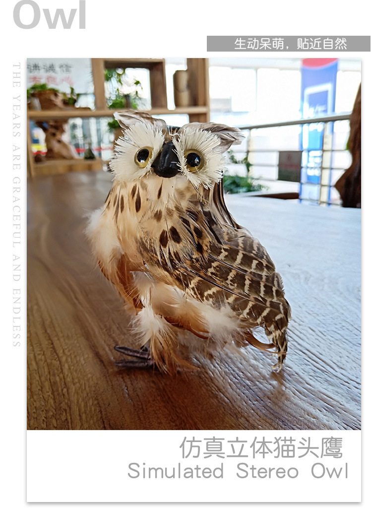 猫头鹰_03.jpg