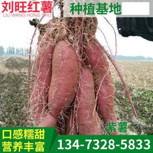 ���ع��� �����ش������Nֲ���� ���� ���� �������_�m