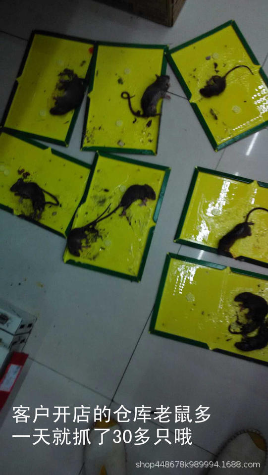 TB2jtZFXVXXXXa3XpXXXXXXXXXX_!!