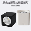 direct deal led Ming Zhuang square Down lamp 7w 12w a living room Showcase Background wall Northern Europe black and white Spotlight wholesale