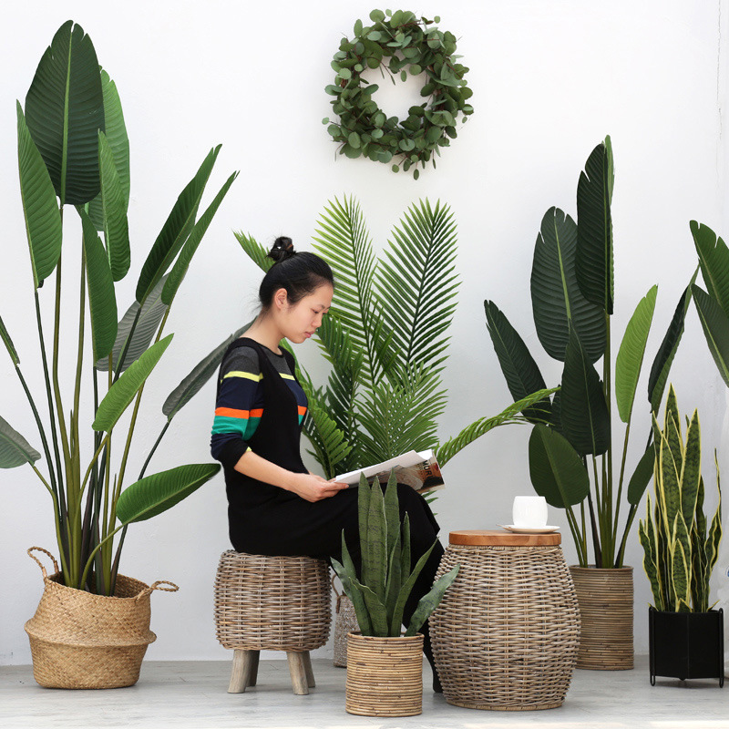 Factory store Nordic green plant traveler large simulation monstera…