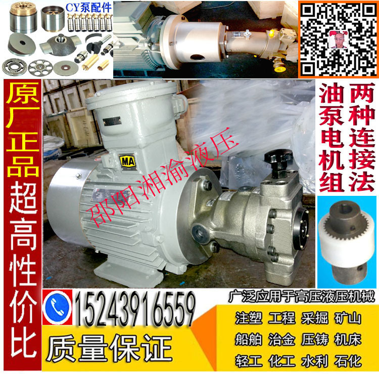 32SCY14-1B+Y2-160M-67*CY泵电机组25SCY-Y160