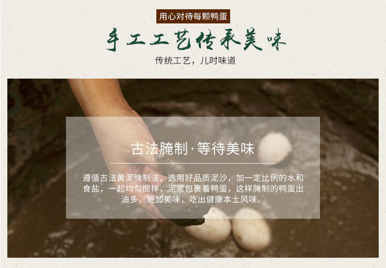 广西海鸭子生态农业投资有限责任公司--海鸭蛋模板_07