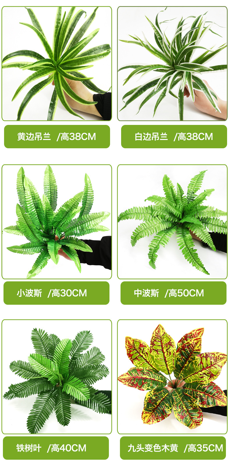 小植物_04.jpg