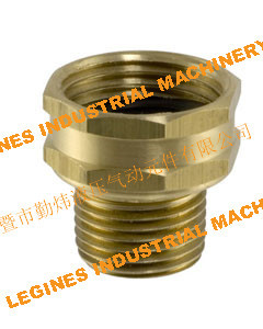 Brass Male Pipe to Female Gard