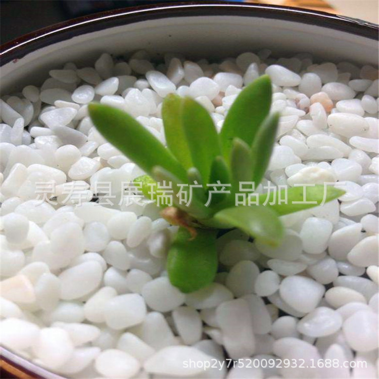 wKhQolZHAHGEf5hKAAAAANDDONE393