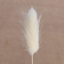 ���l�ٗlͨ�ݻ���޹�����޹�ɻ��ٗlͨ�ݻ����滨��β��������