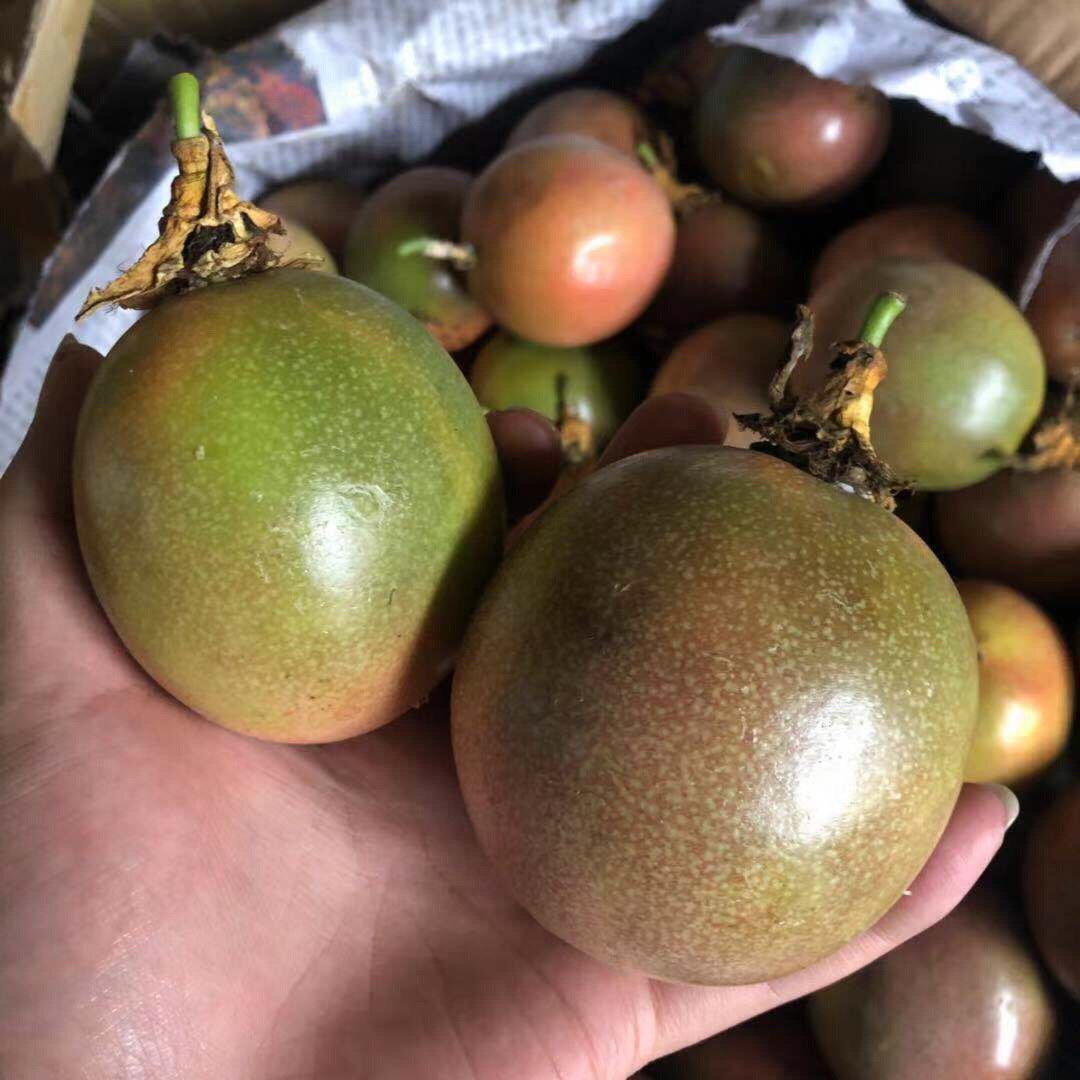 云南西双版纳百香果，酸酸甜甜，芳香馥郁果汁饮料