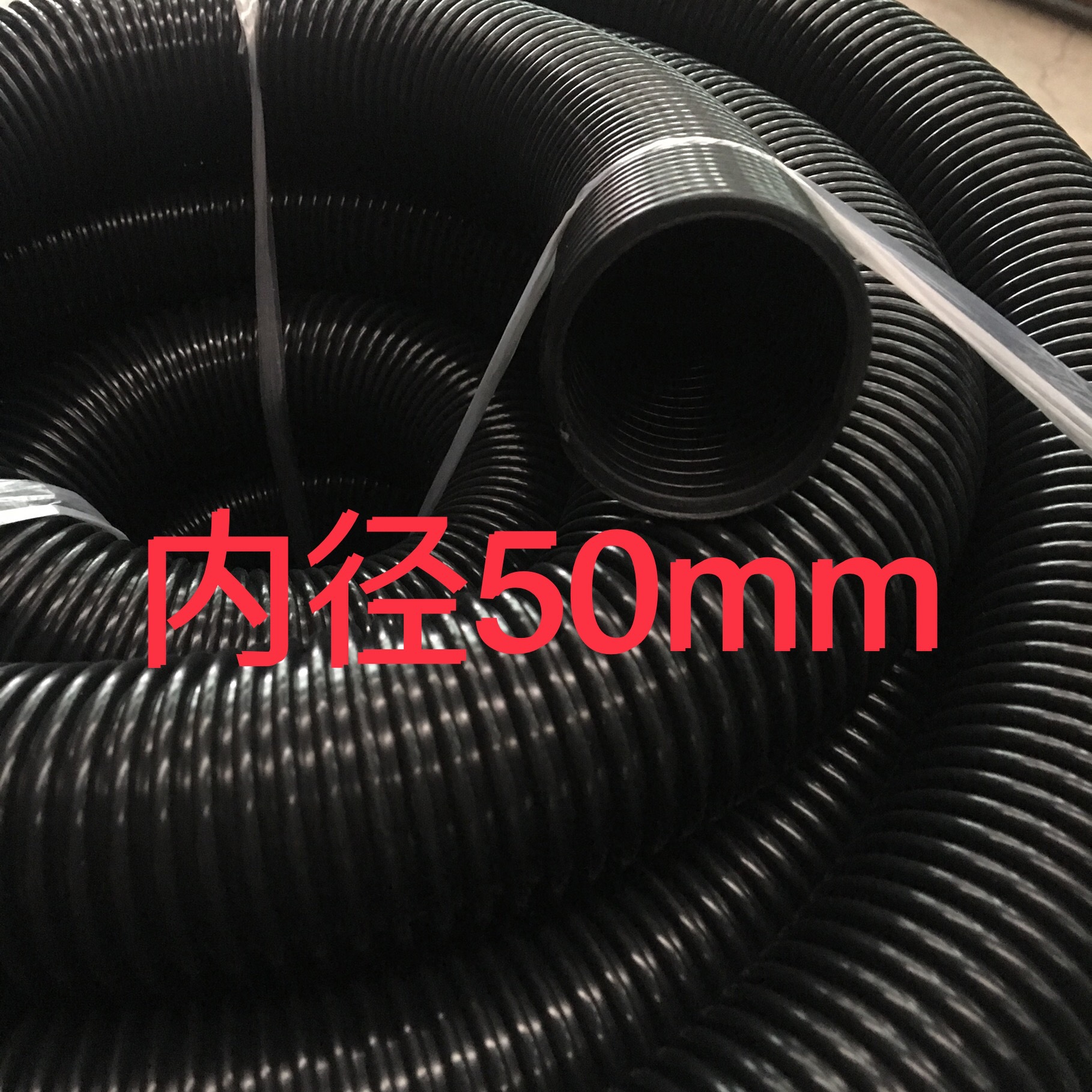 IMG_6010(20190418-122917)