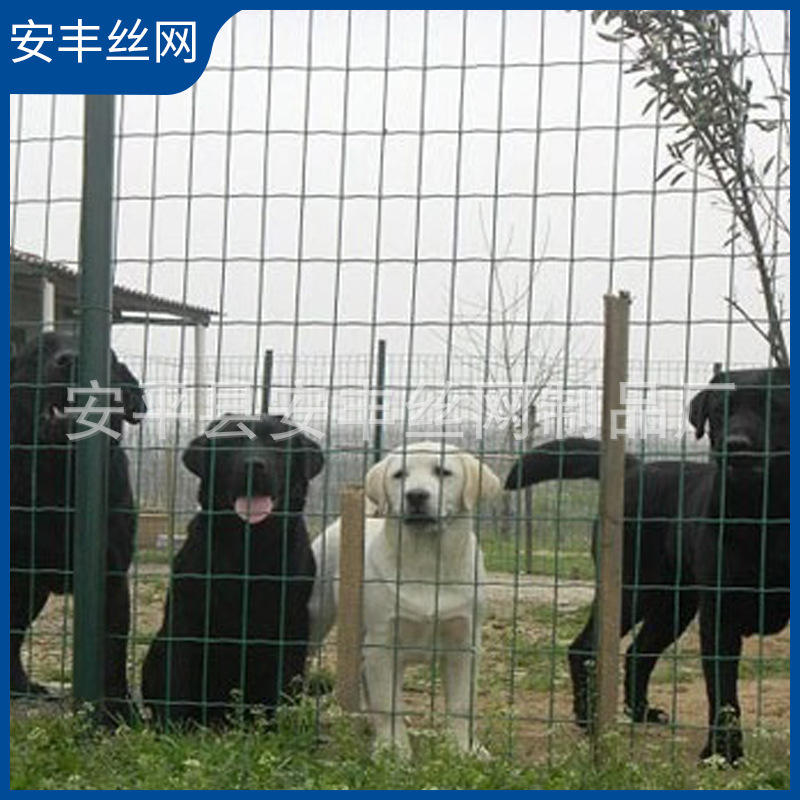 防护围栏 荷兰网 圈地 养殖养鸡围网包塑 荷兰网