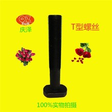 12.9���������ݽz T���ݽz �C������ �_������ ģ�߉��� ���l