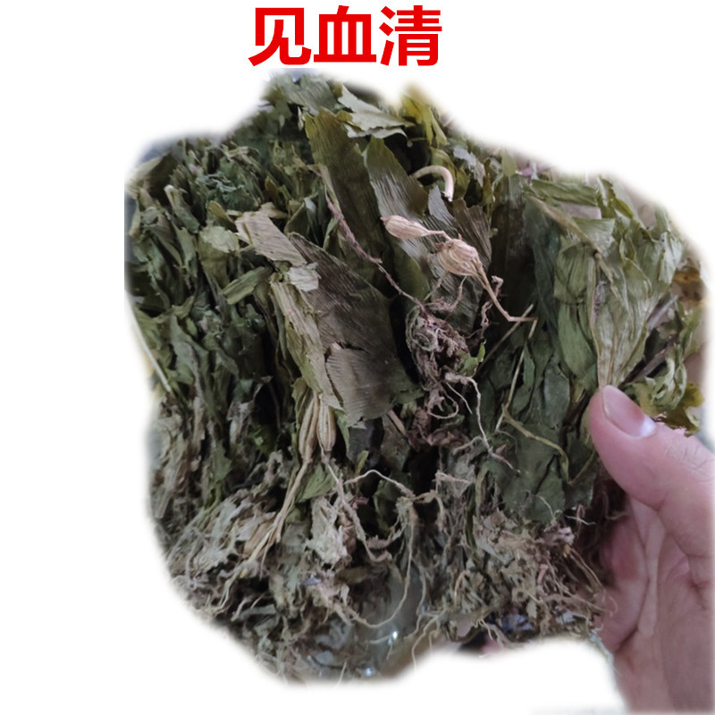新货中药材 见血清 见血青 代磨粉 支持药检 承接订单 量大价优