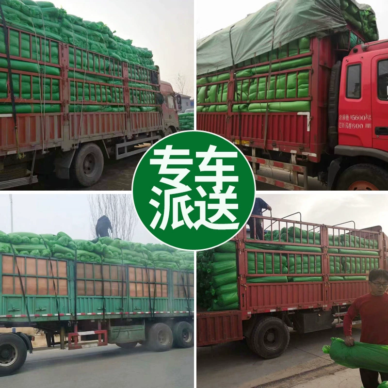 Строительная площадка, голая почва, покрытая мелкой сеткой, ландшафтное озеленение, покрытое почвенной сеткой, пылезащитная сетка, зеленая экологическая защита, покрытая песком и угольной сеткой.