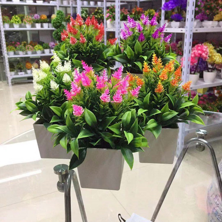 微信图片_20190302215456