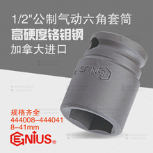 �츳GENIUS���ڹ���1/2��������������Ͳ��ǹ��ͷ444008-444041