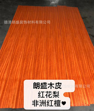 ���޼t̴ľƤ �t����ľƤ �tɫľƤ �t̴ľƤ �tɫ���� ��ľ����