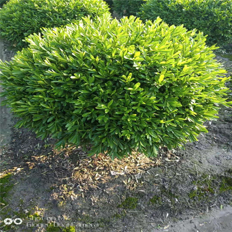 微信图片_20190924001128