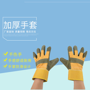 Դ�^�S؛ 늺����� �Ӻ�ţƤ�͸ߜغ������� �ڱ�����