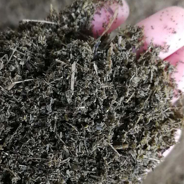 广西桂林养牛养羊优质饲料甜叶菊渣大量供应|ms