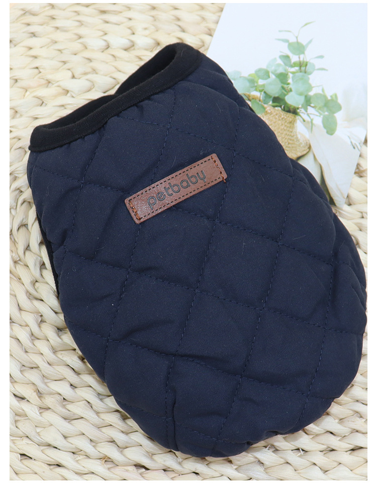 Pet in winter vest