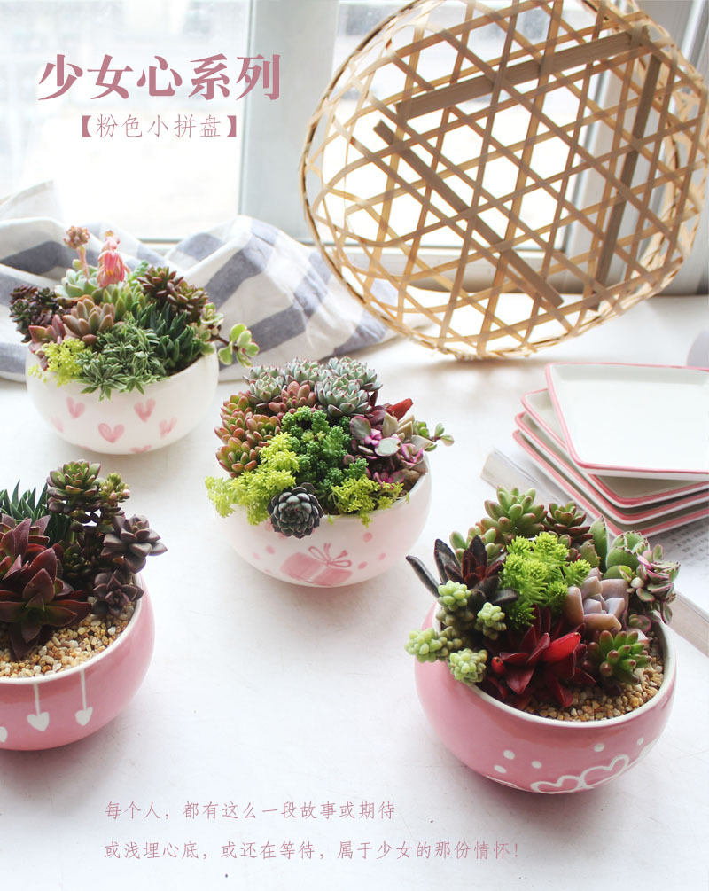 新品爆款粉色少女心小拼盘多肉花盆陶瓷花盆植物盆栽花器容器 花盆 工艺陶瓷 陶瓷谷