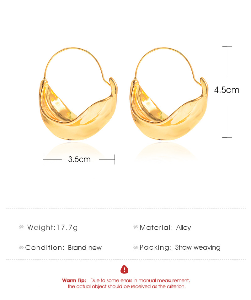 New Irregular Earrings Metal Flower Basket Exaggerated Earrings Wholesale Nihaojewelry display picture 1