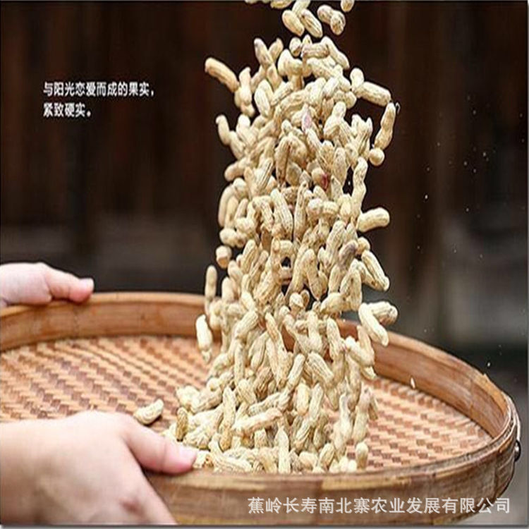 【南北寨】水煮咸干花生白衣花生美味不上火坚果带壳花生米花生仁