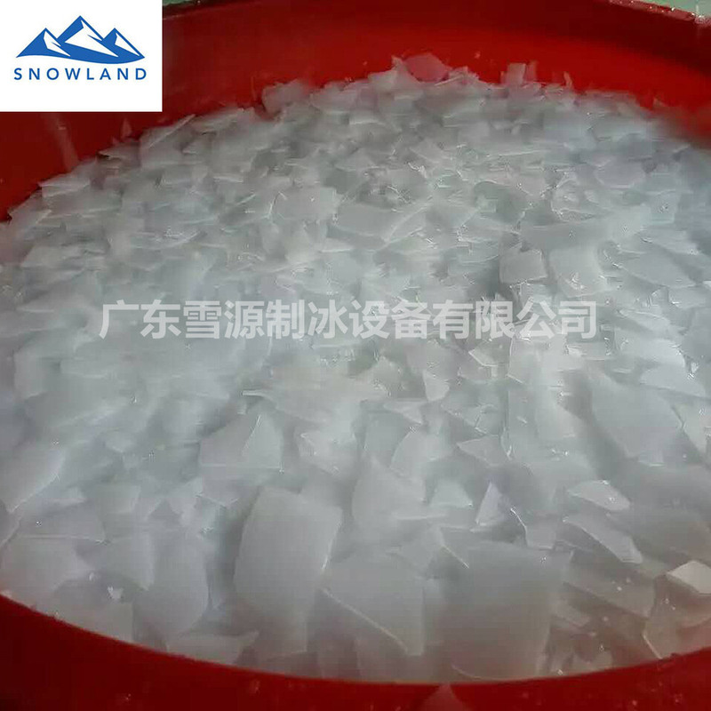 Xueyuan 1.5-Ton Small Flake Ice Machine 380V Stainless Steel Seawater Flake Ice Machine for Preserving Aquatic Products